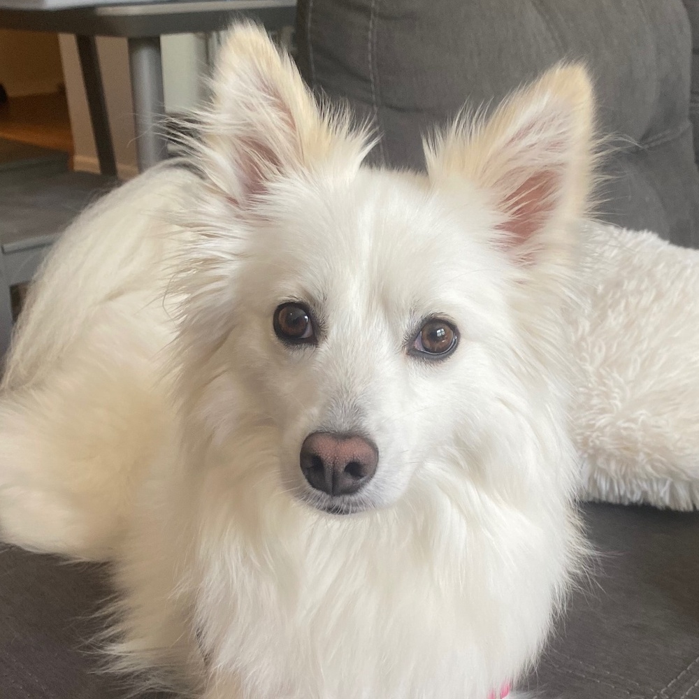 Meet your Posher, Rebecca